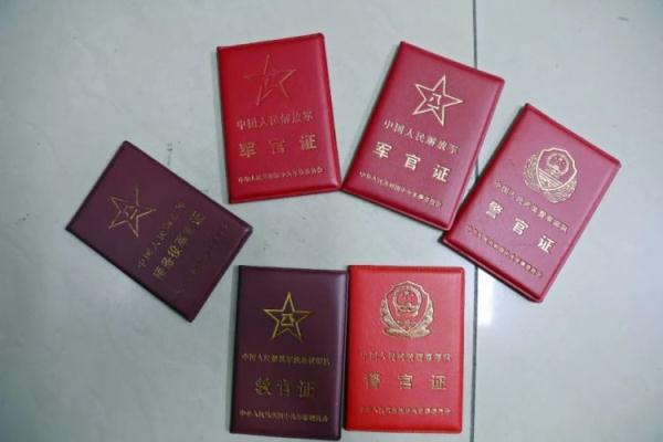 太阳城下载